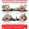 Как защитить населенный пункт от лесного пожара
